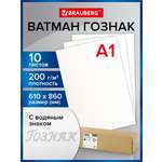 Ватман Brauberg 10 лист.