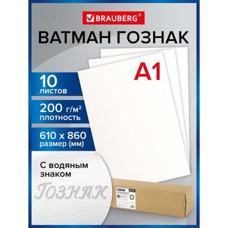 Ватман Brauberg 10 лист.
