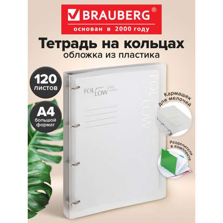 Тетрадь со сменным блоком Brauberg клетка 120 лист.