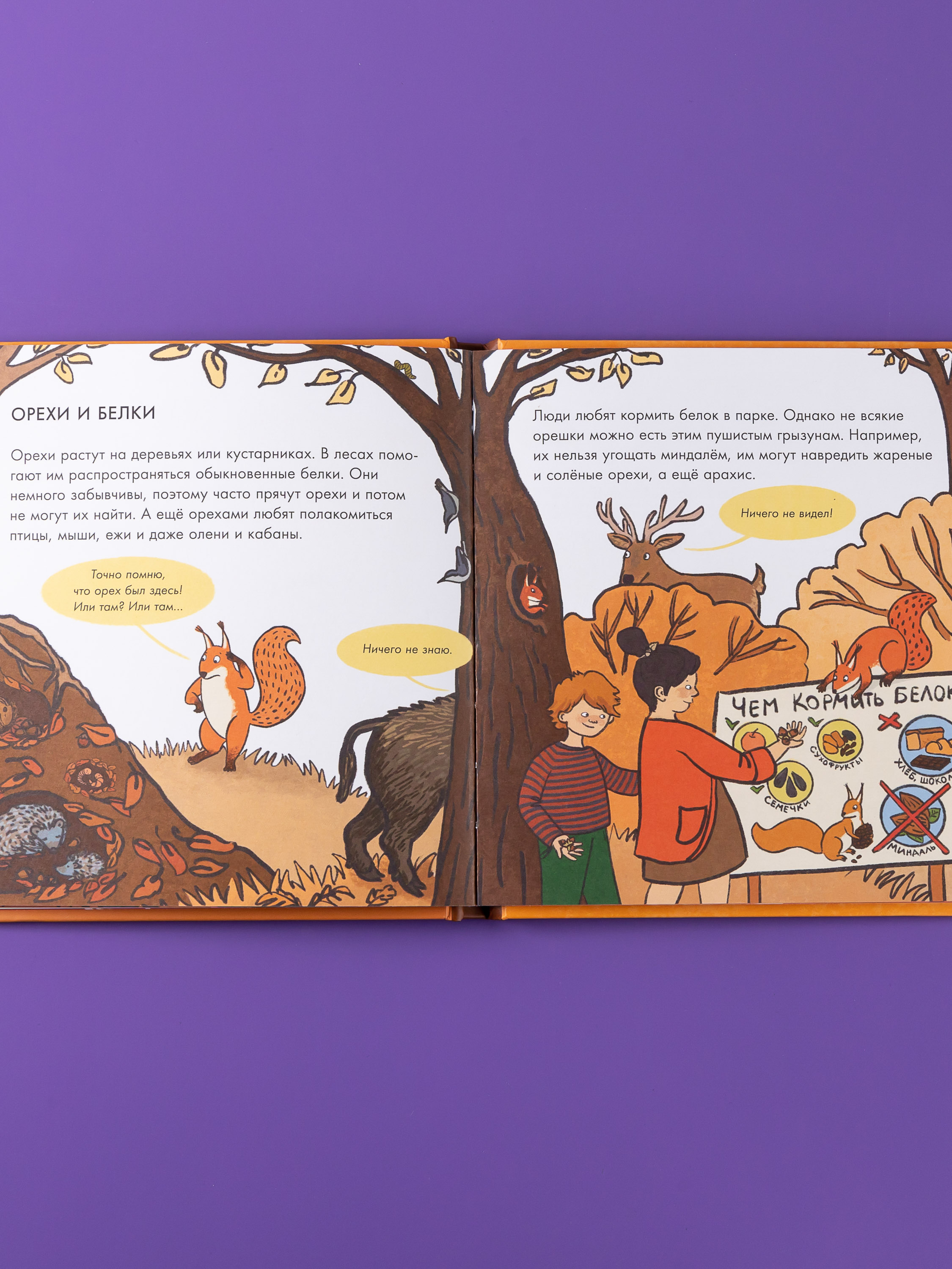 Книга Альпина. Дети Я знаю, что я ем! Орехи - фото 4