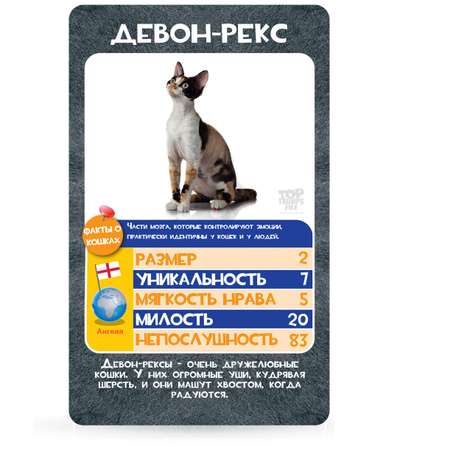 Настольная игра TopTrumps Козырные карты Кошки