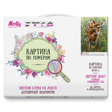Картина по номерам Molly