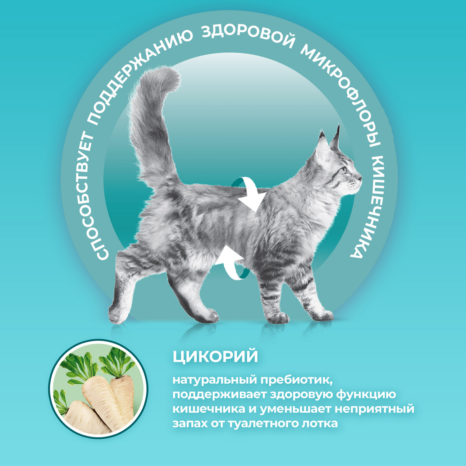 Purina One - фото 2
