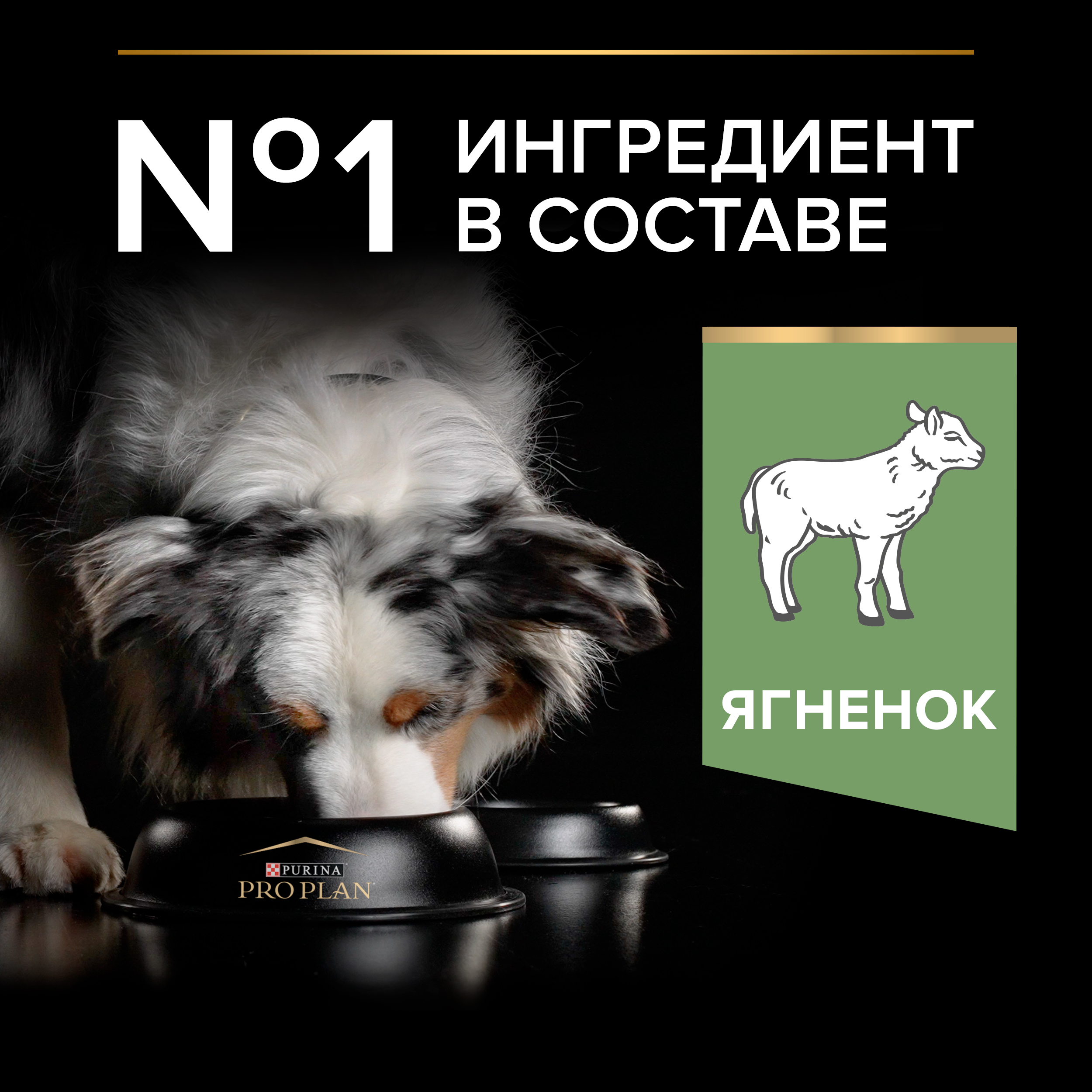 Корм сухой для собак PRO PLAN SENSITIVE DIGESTION 3 кг с ягненком для средних пород - фото 4