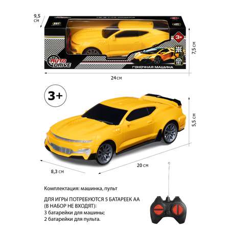 Автомобиль РУ AUTODRIVE