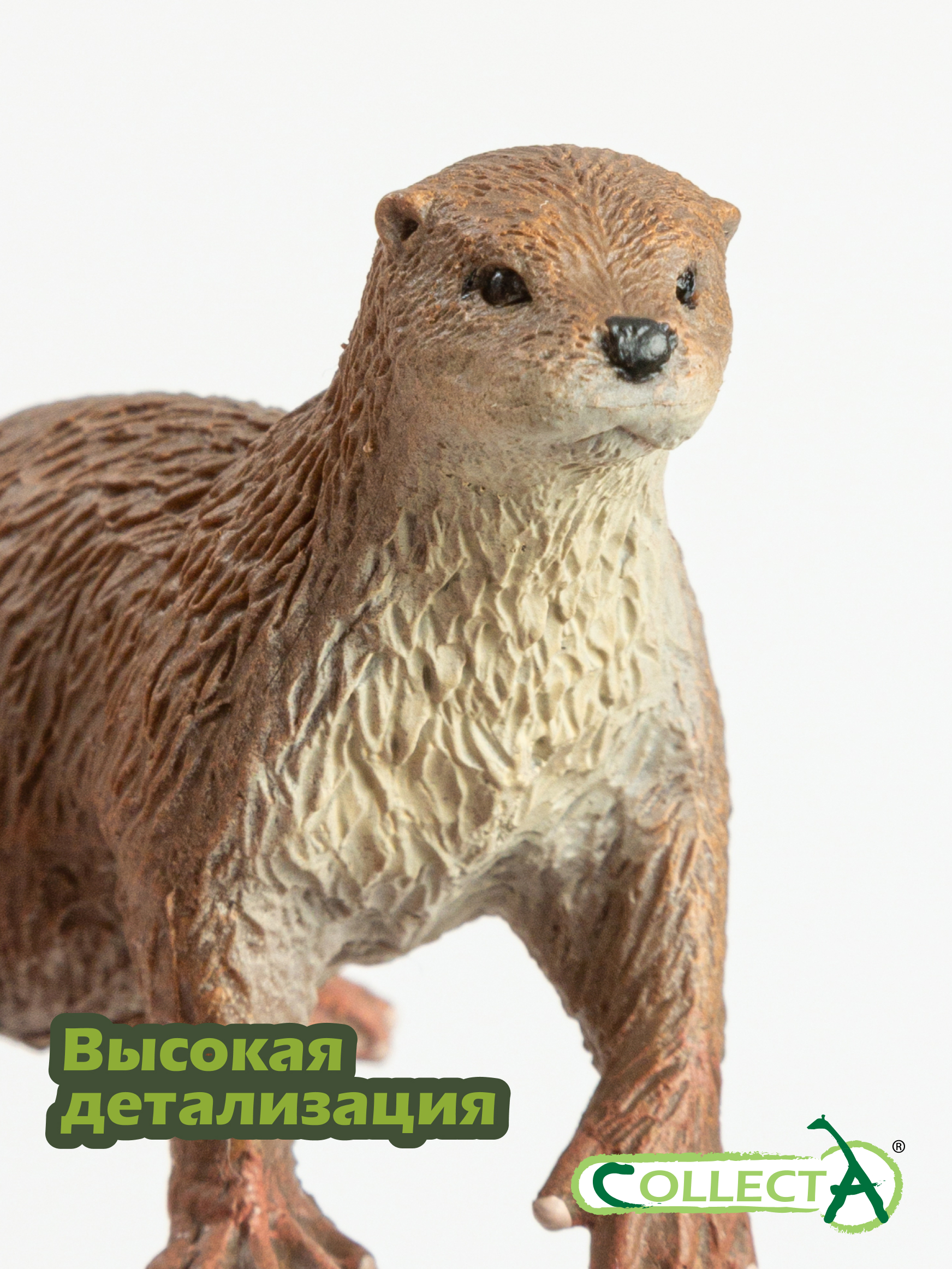 Фигурка Collecta Выдра - фото 3