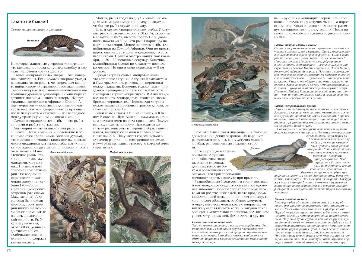 Книга Белый город Загадки животного мира - фото 10