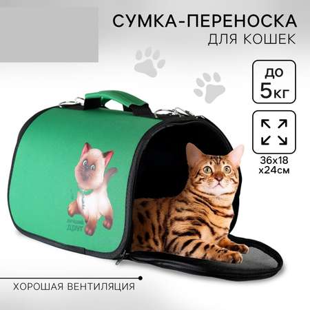 Сумка-переноска Пушистое счастье раскладная «Лучший друг»
