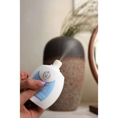 Парфюмированный дезодорант BREEZE Clasicco 67 100мл