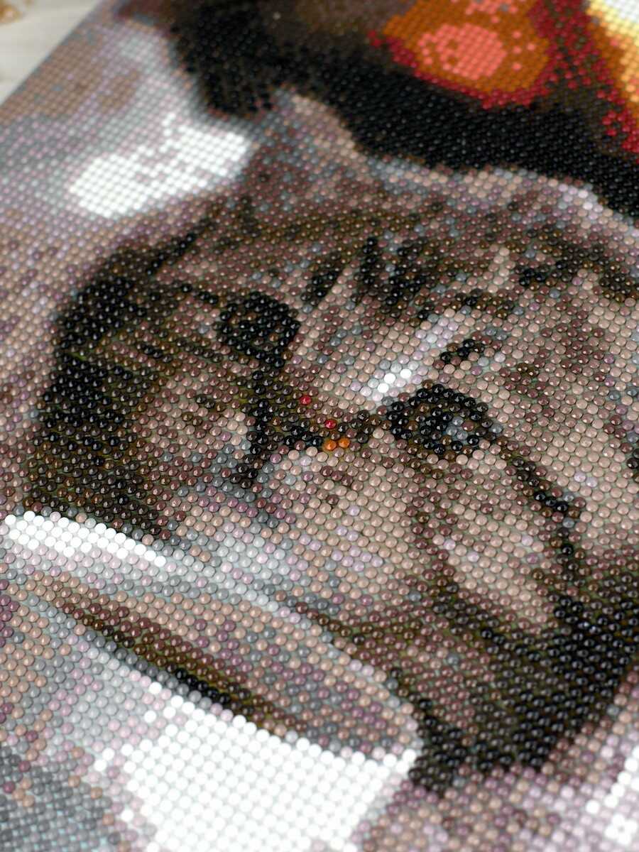 Алмазная мозаика Феникс + - фото 7