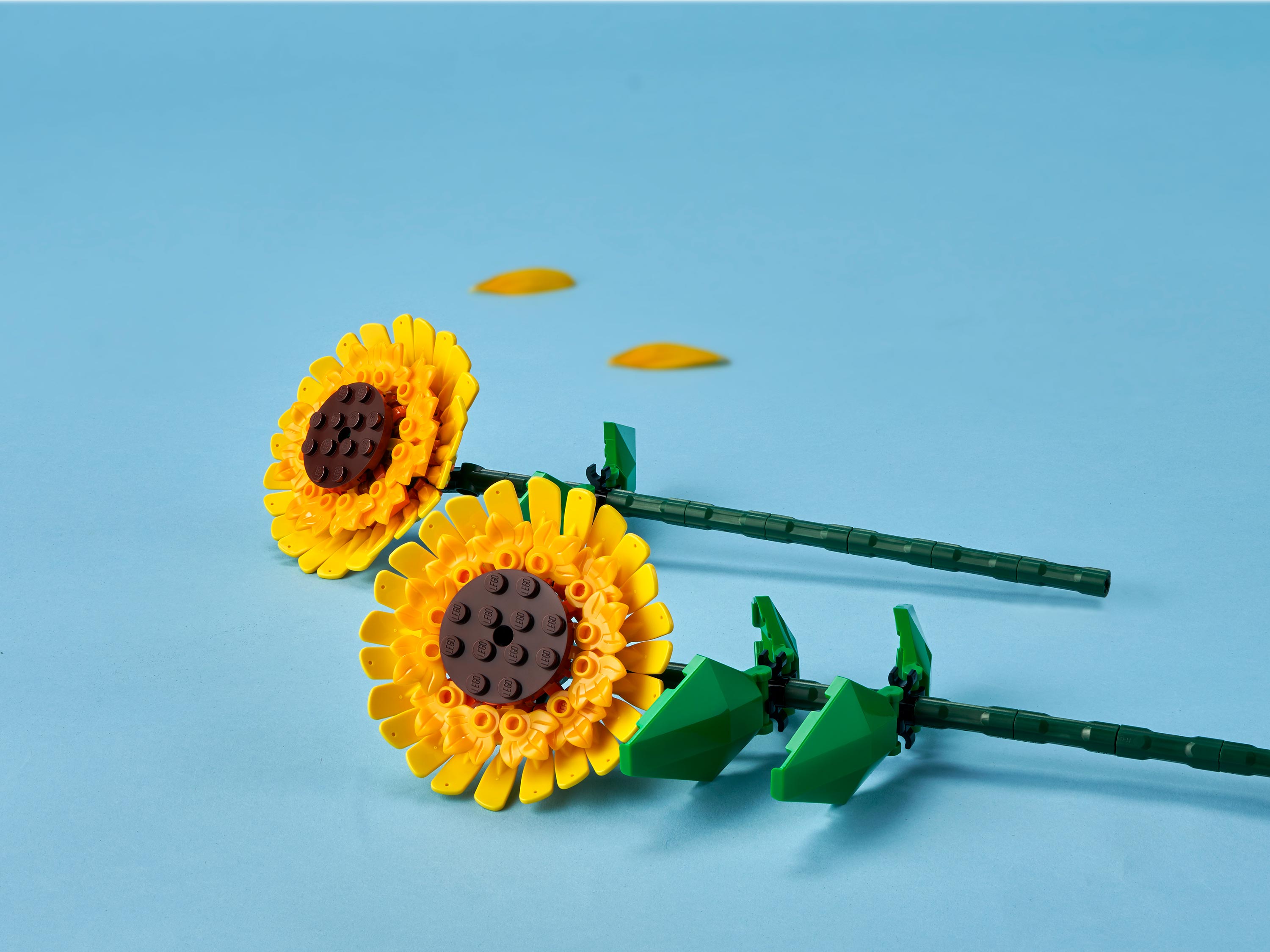 Конструктор LEGO Botanicals Сувенирный набор 191 дет. - фото 7