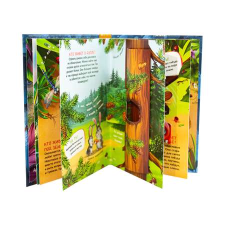 Книга Malamalama Кто где живет. С объемными картинками