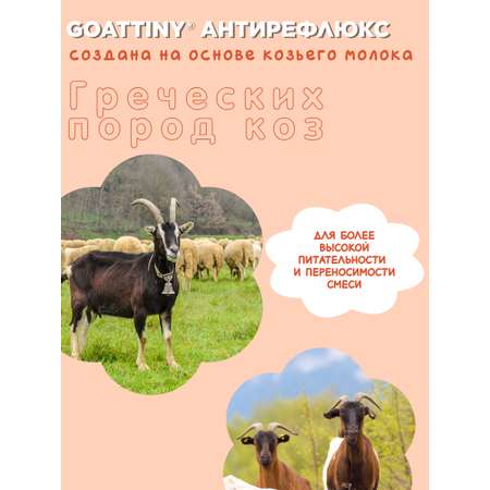Смесь молочная Goattiny Антирефлюкс