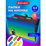 Папка-органайзер Brauberg зелено-голубой градиент А4