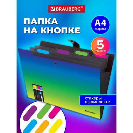 Папка-органайзер Brauberg зелено-голубой градиент А4