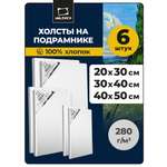 Холст Малевичъ 20х30 30х40 40х50 6 шт