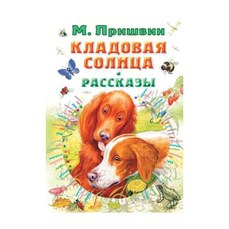 Книга АСТ Кладовая солнца. Рассказы