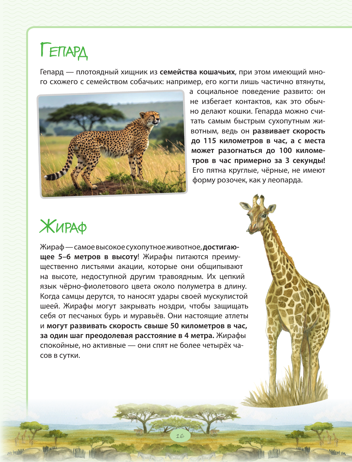 Книга Эксмо Животные Большая экспедиция вокруг света - фото 20