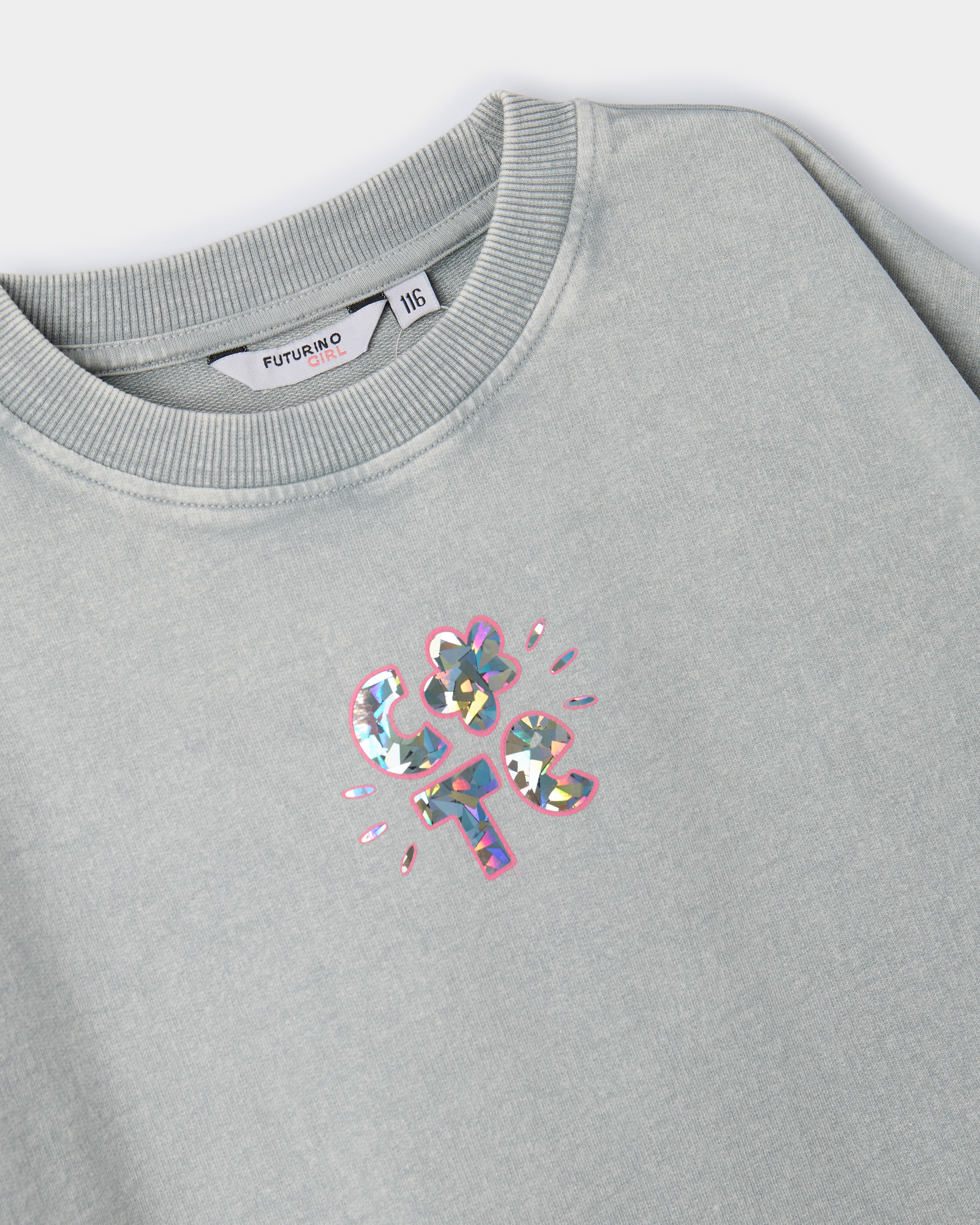 Свитшот Futurino FG-SS26-106sFUkg-GG - фото 4