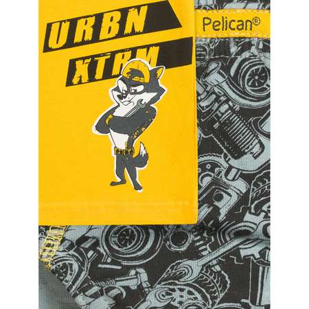 Комплект Pelican