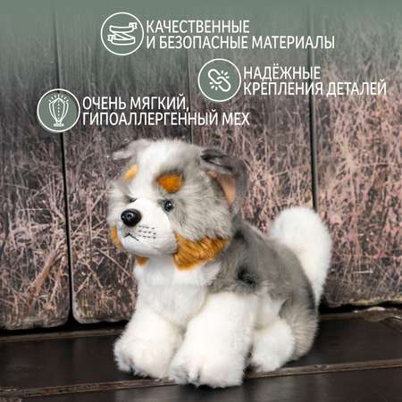 Мягкая игрушка Gulliver собачка Австралийская собака 27 см 27 см