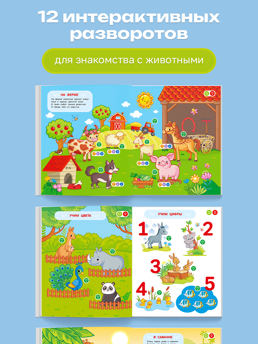 Интерактивная книга BertToys Животные для логопедических игрушек - фото 11