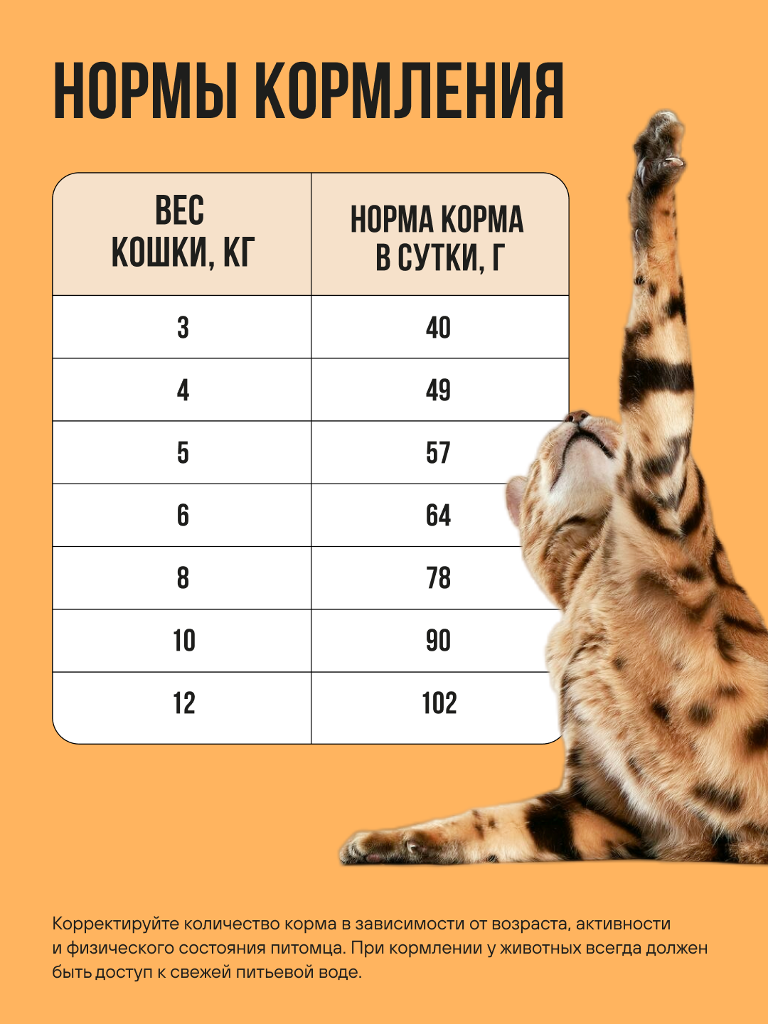 Корм сухой полнорационный BOWL WOW для кошек с чувствительным пищеварением с индейкой, курицей и тыквой 400г - фото 5