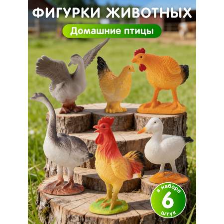 Игровой набор DARWIN Животные Домашние птицы 6шт