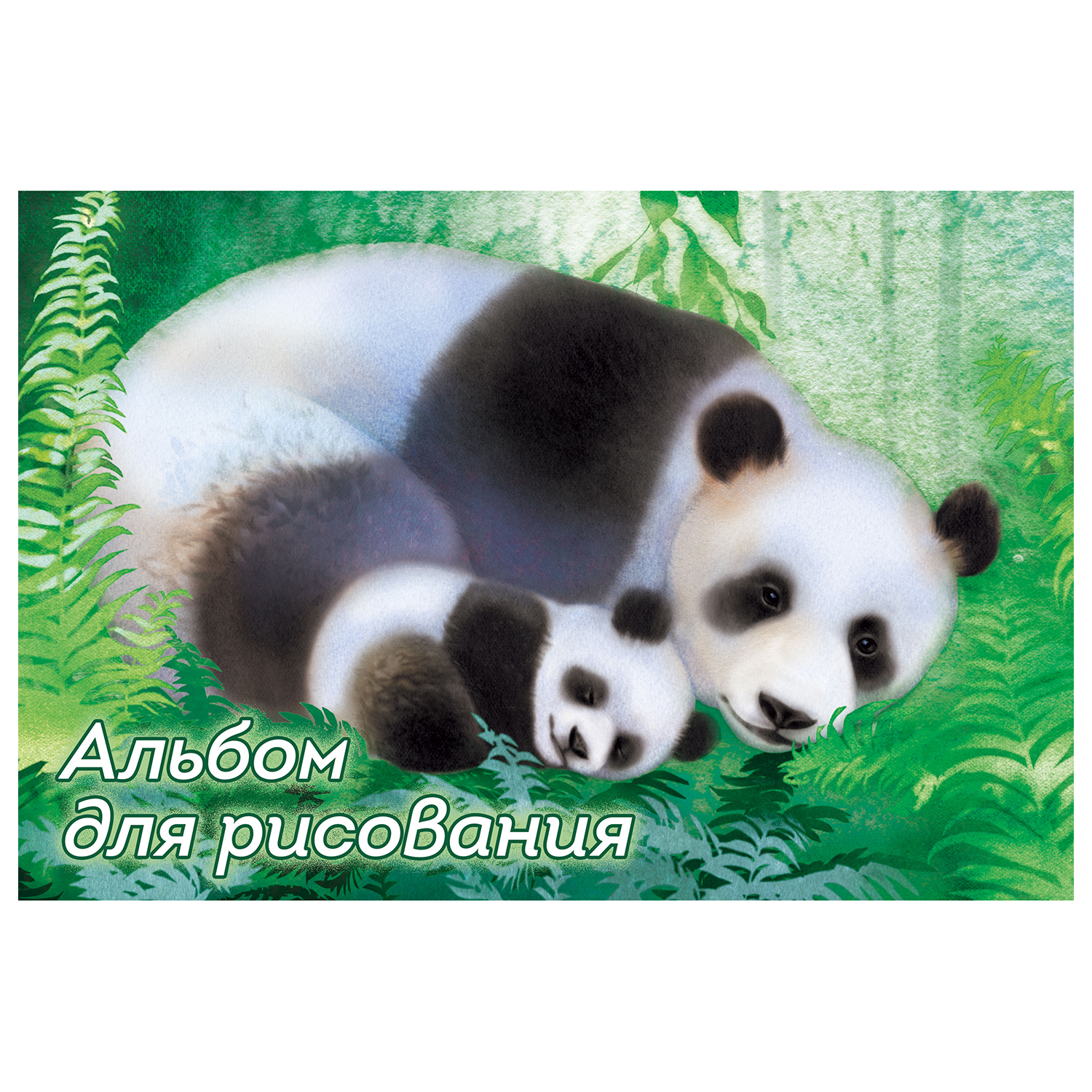 Альбом Полиграф Принт А4 40 лист. в ассортименте - фото 3