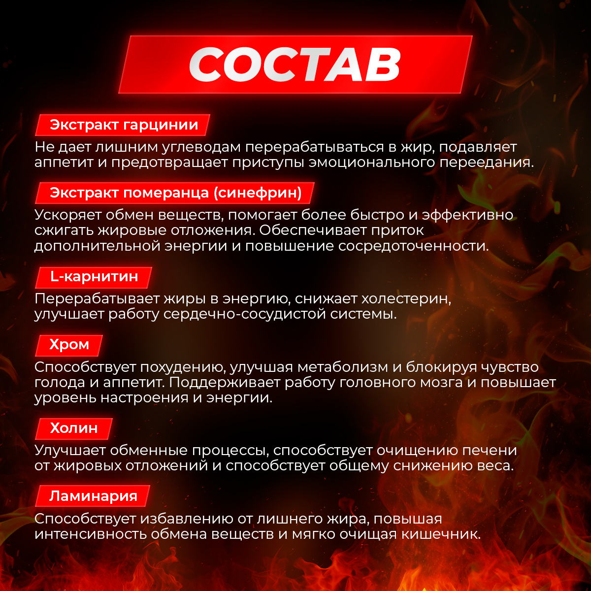 Жиросжигатель для контроля аппетита/ Доктор Море похудения/ снижения веса/ L-карнитин 60 капсул - фото 7