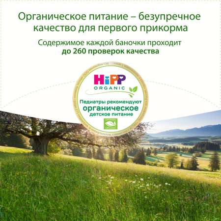 Крем-суп Hipp овощи-индейка 190г с 6месяцев