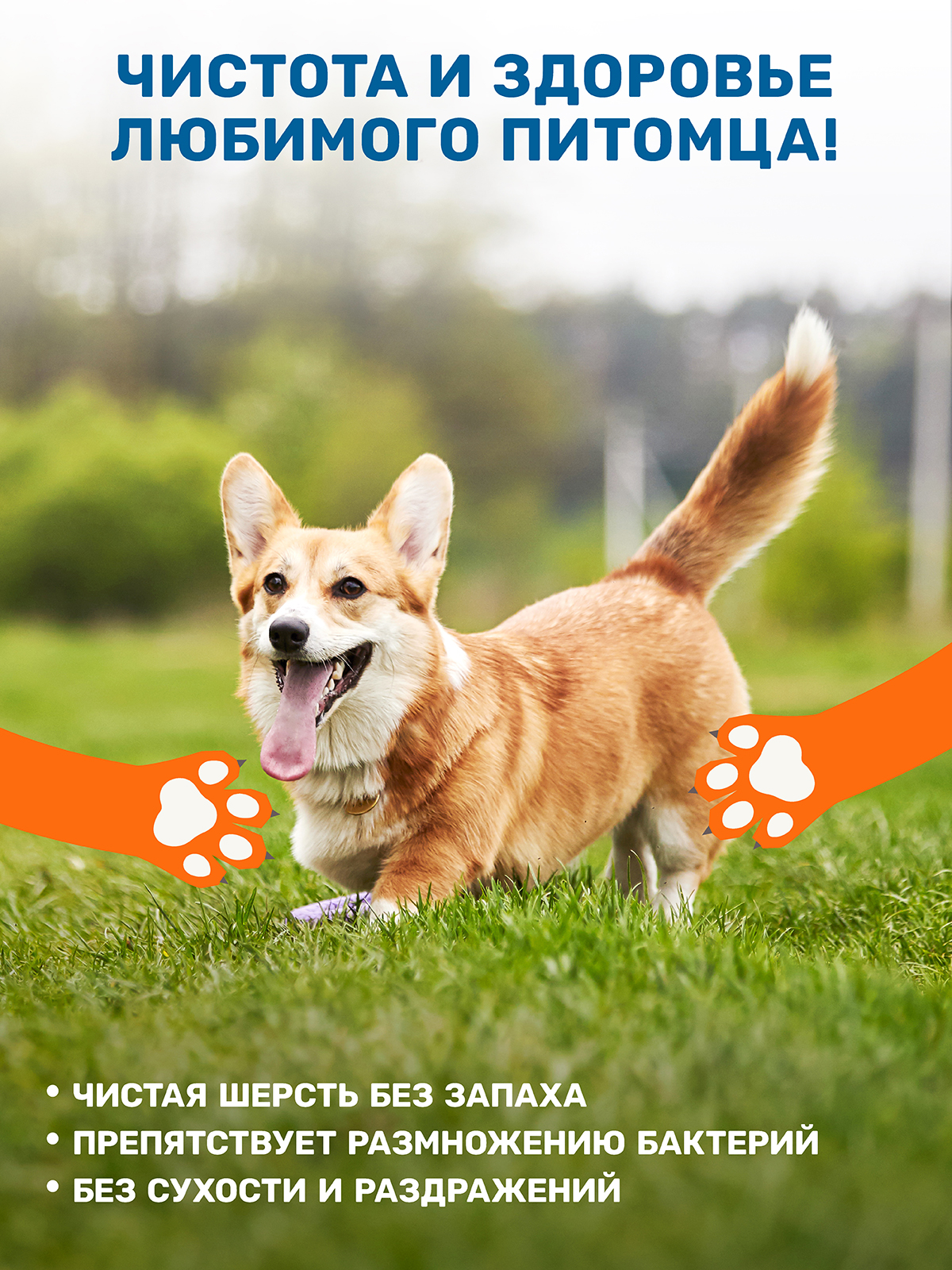 Шампунь для собак и кошек ZOORIK антибактериальный с фитокомплексом 400 мл - фото 2