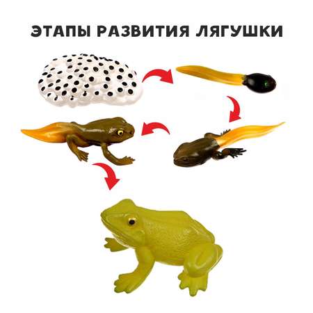 Наглядное пособие Sima-Land