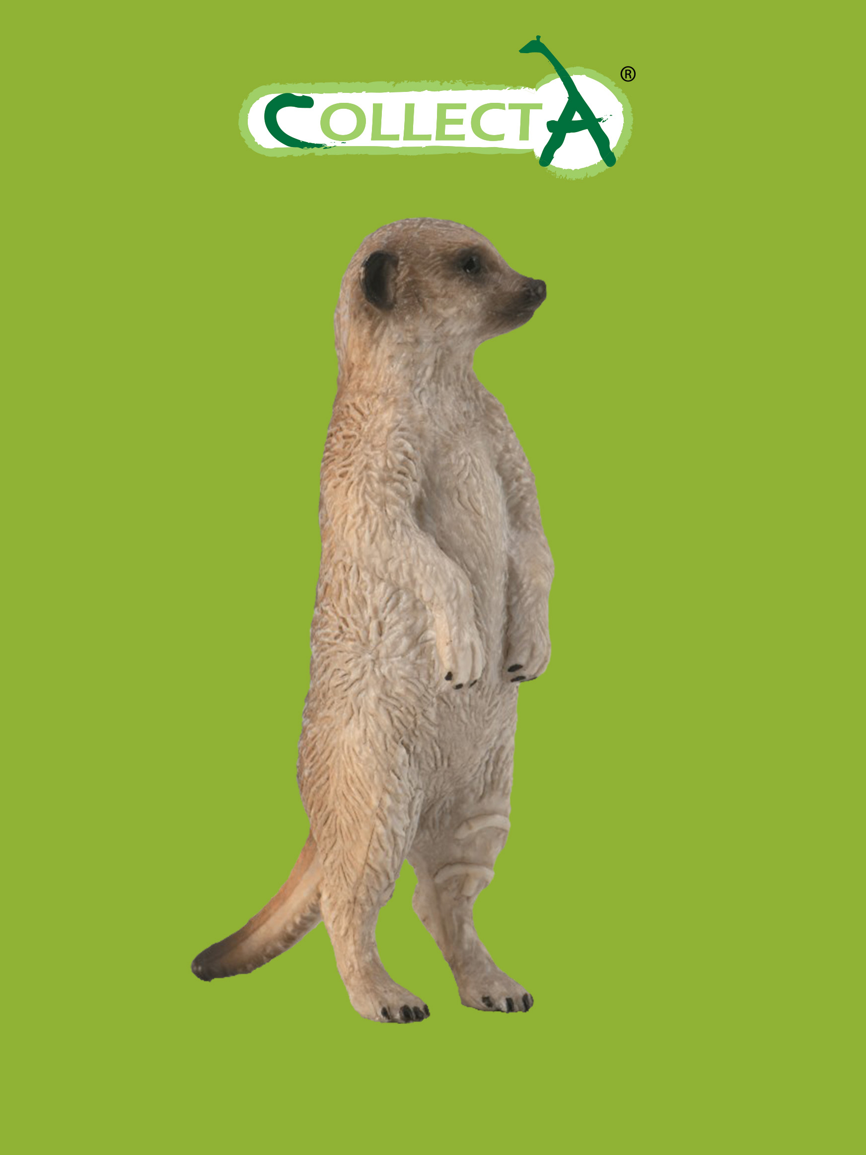 Фигурка Collecta Сурикат - фото 1