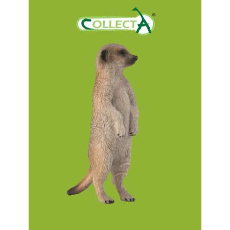Фигурка Collecta Сурикат