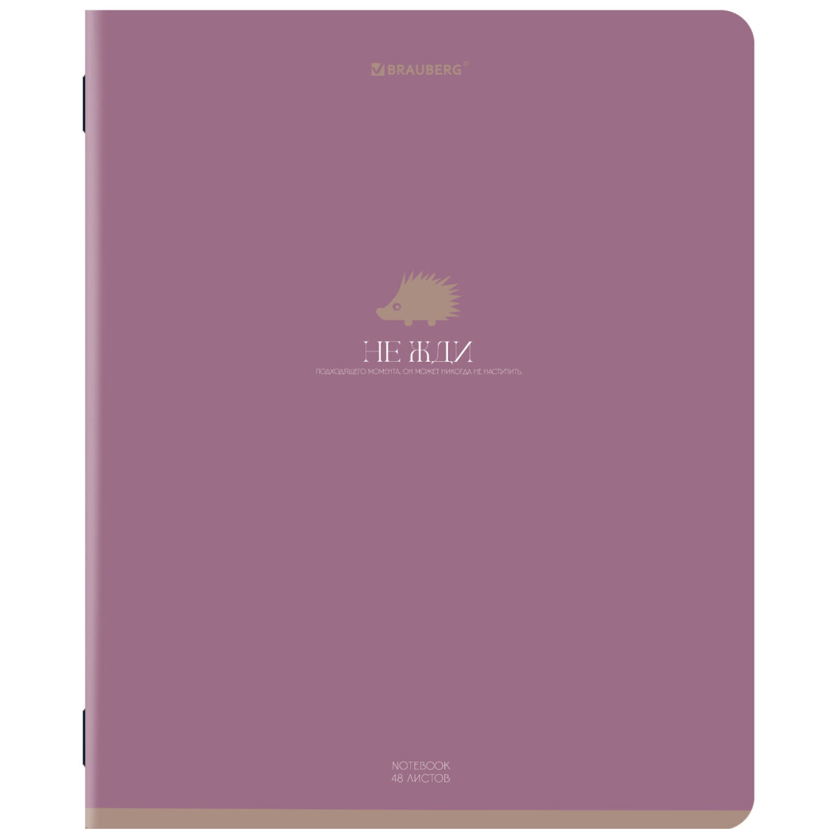 Общая тетрадь Brauberg клетка 48 лист. 5 шт. - фото 6