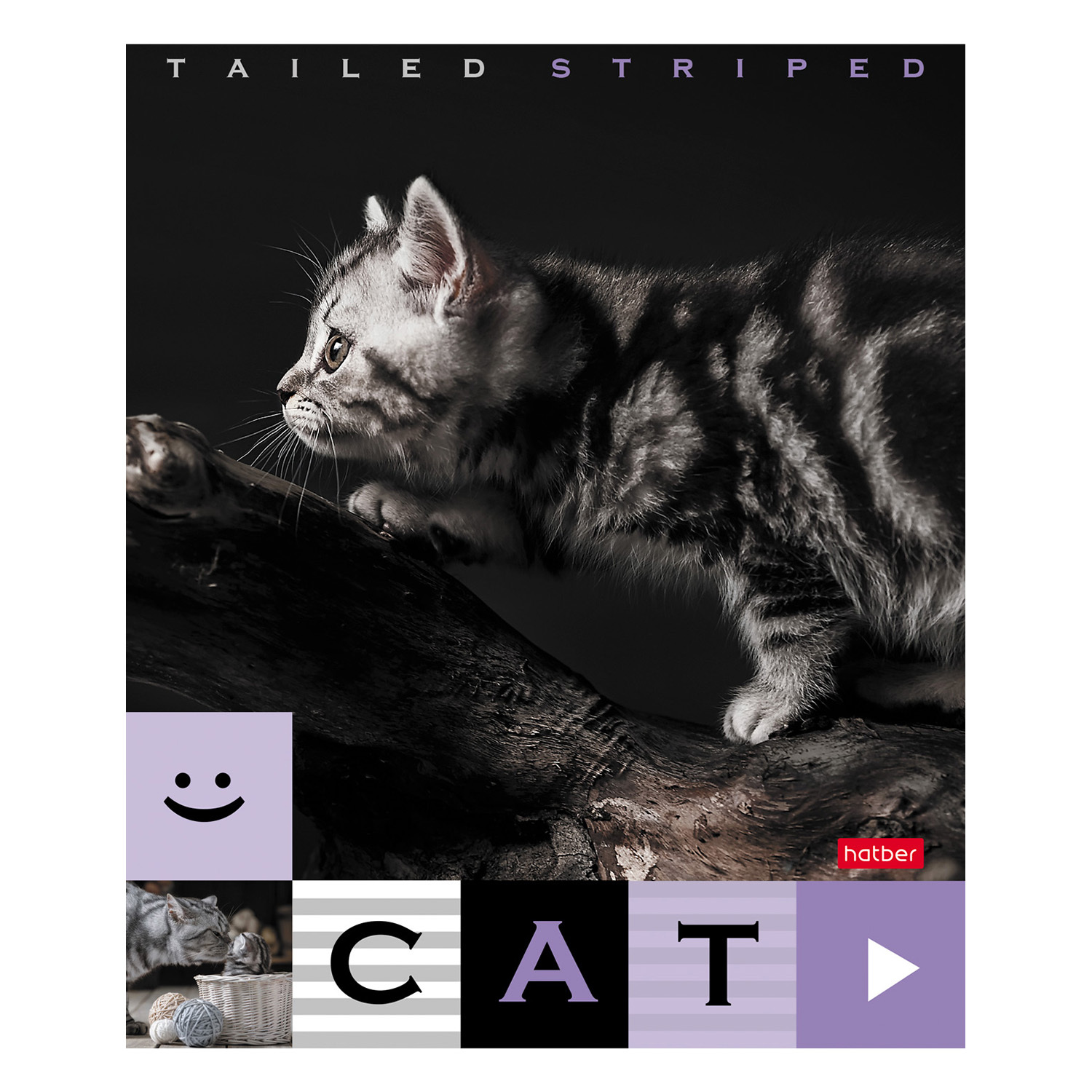 Общая тетрадь Hatber клетка 40 лист. в ассортименте - фото 6