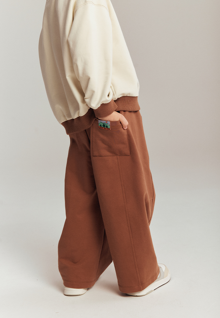 Брюки artie W25M09BR-1392M/Коричневый - фото 4