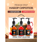 Набор сиропов SPOOM Кленовый Острый Крем-брюле для коктейлей чая и кофе 3шт 250мл + 3 дозатора