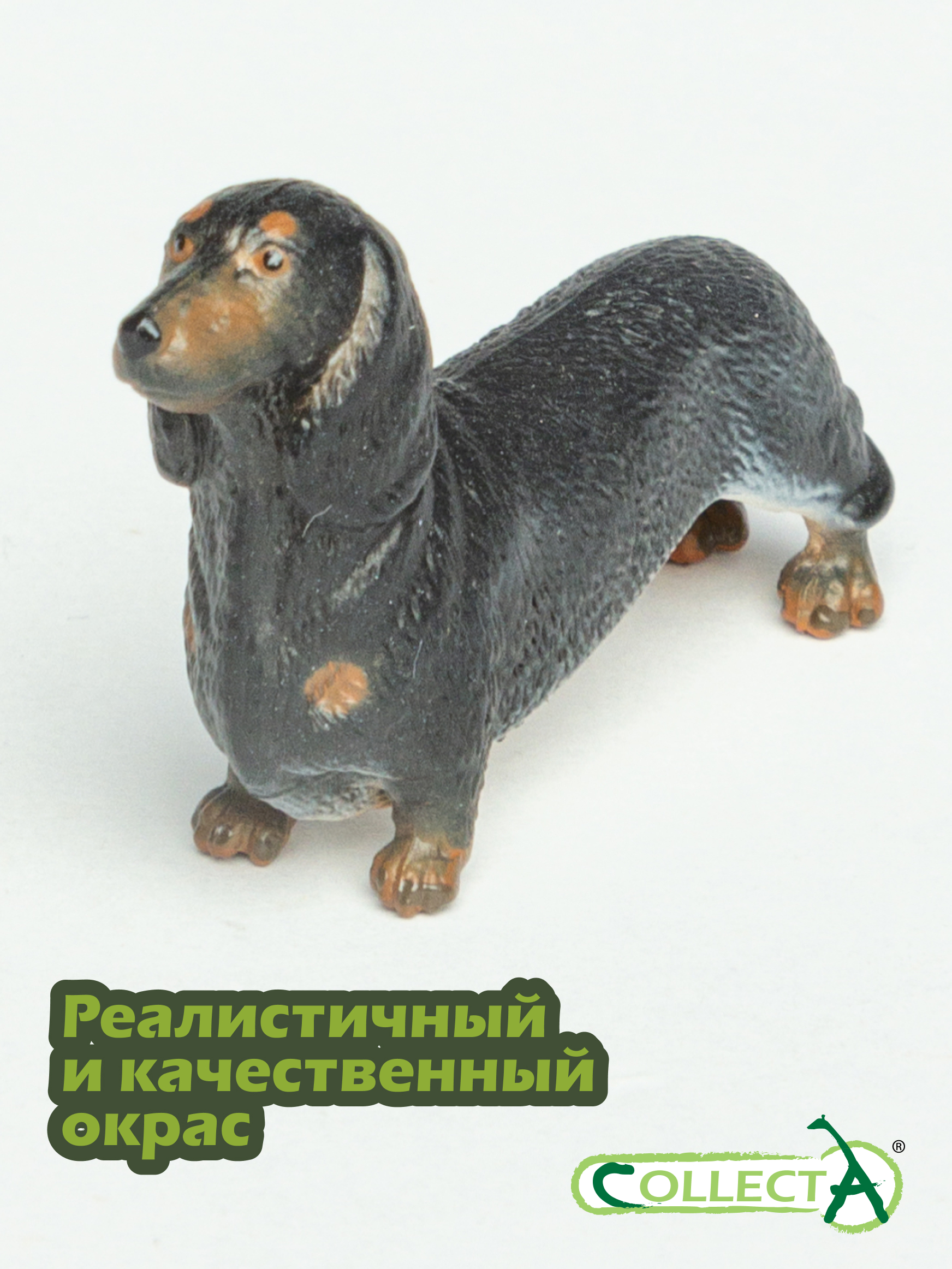 Фигурка Collecta собаки Такса - фото 4