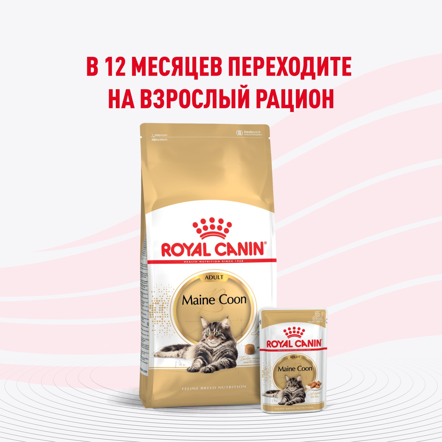 Корм для котят Royal Canin 85г Maine Coon Kitten соус для котят мейн кун пауч - фото 8