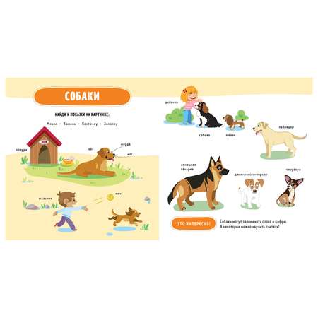 Книга Clever ГКМ.Главная книга малыша. Домашние животные/Бессон А.