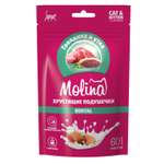 Лакомство для кошек и котят Molina подушечки с начинкой из говядины и утки 60г