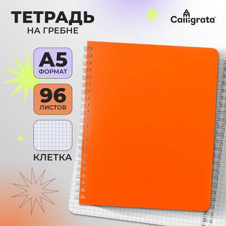 Тетрадь Calligrata клетка