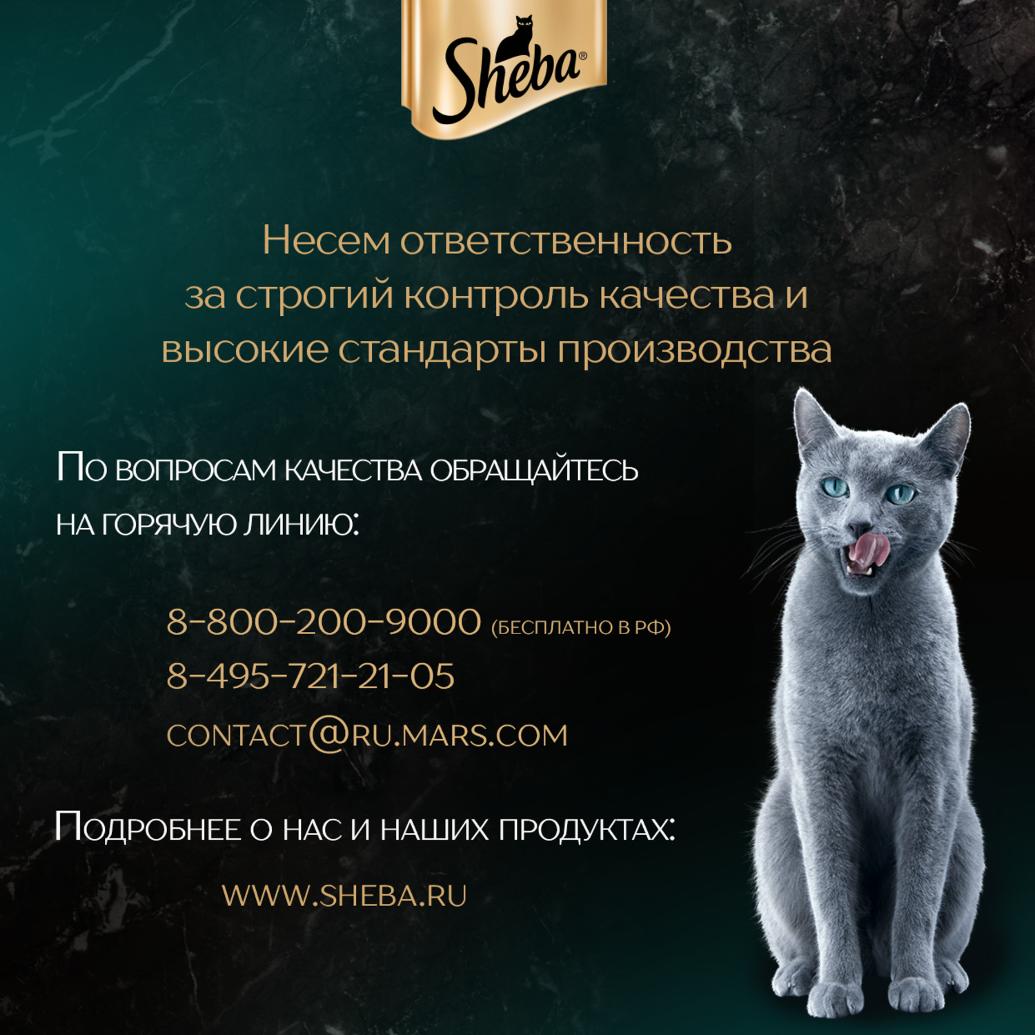 Корм для кошек Sheba 75г нежный паштет в желе с говядиной - фото 7