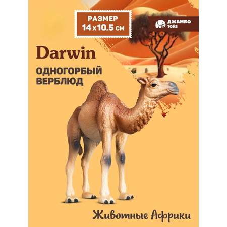 Фигурка DARWIN Животные Одногорбый верблюд