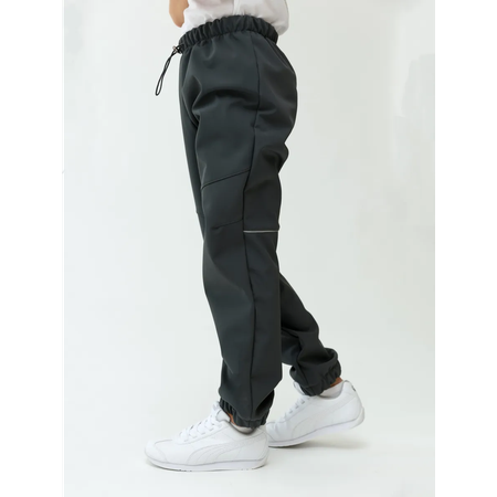 Брюки Lemonwear