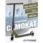Трюковой самокат CITYRIDE двухколесный