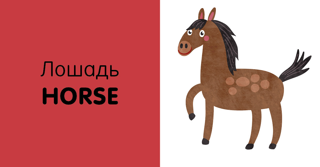 Книга Clever познаем мир вместе Английский язык Животные - фото 6