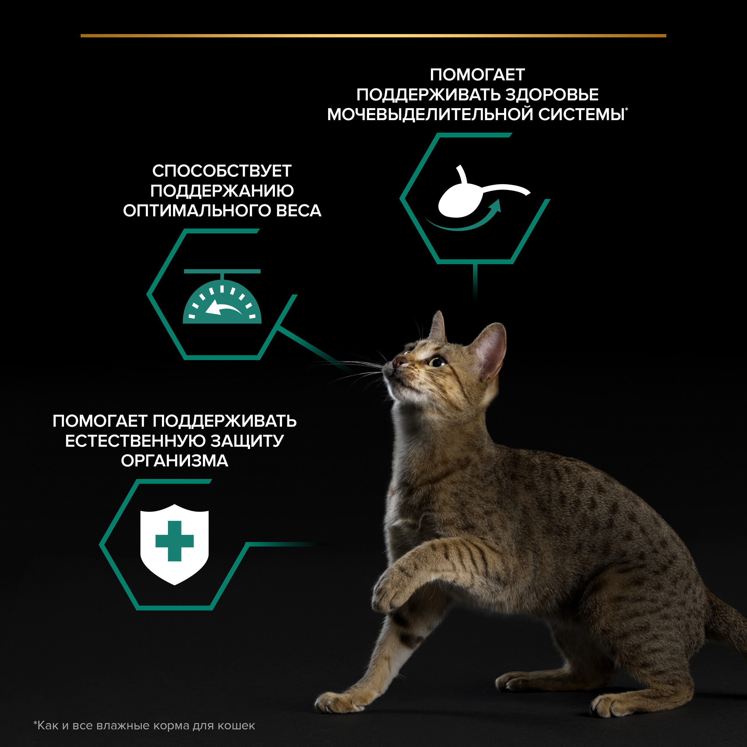 Корм влажный для кошек PRO PLAN MAINTENANCE 85г с кроликом в соусе для стерилизованных - фото 3